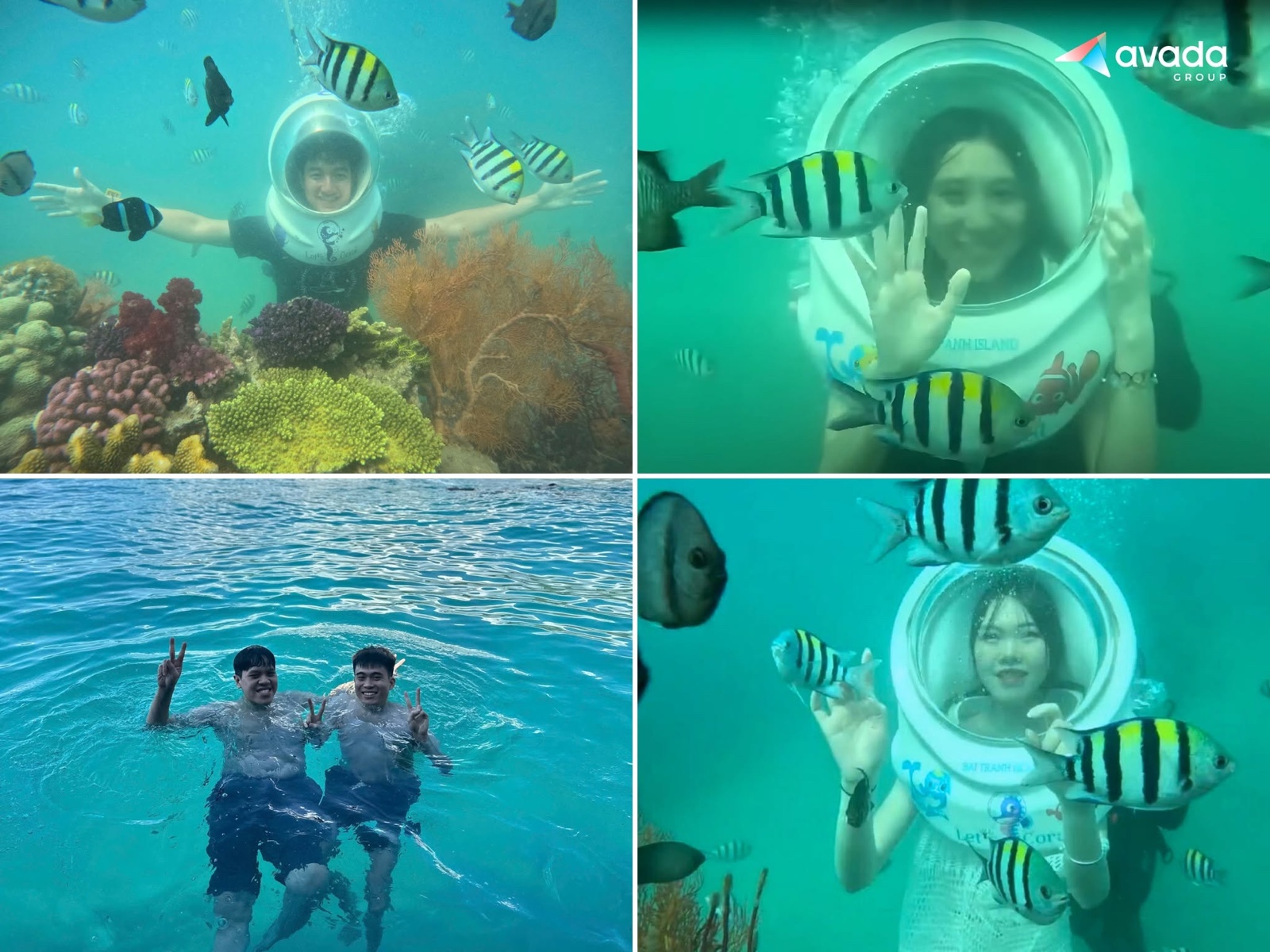 Lặn biển ngắm san hô cùng Sea Walker